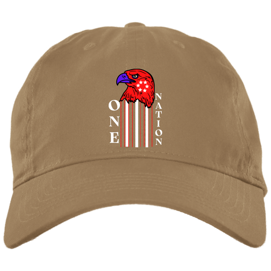 American Eagle ONE NATION Dad Cap