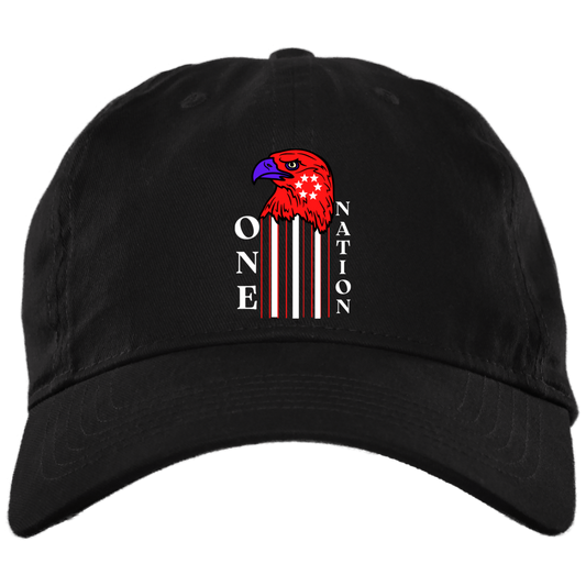 American Eagle ONE NATION Dad Cap